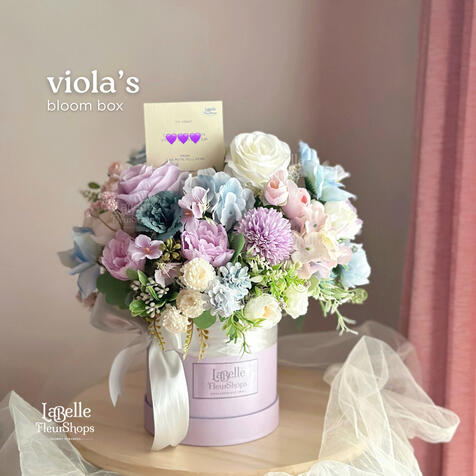 Viola's Bloom Box (D15)