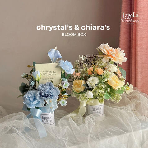 Chrystal's & Chiara's (D7)
