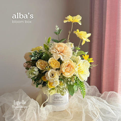 Alba's Bloom Box (D10)
