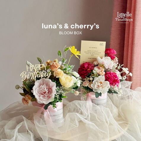 Luna's x Cherry's (D7)